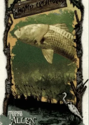 Collect the Best Allen & Ginter Fish Cards of All Time